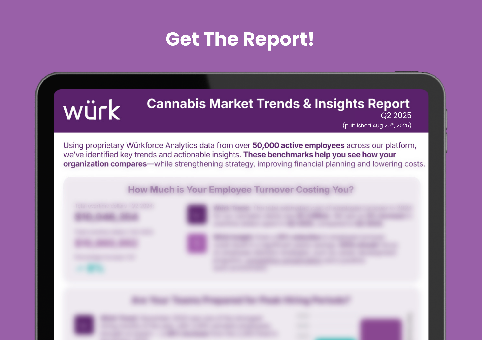 Cannabis Insights Report Graphic (2)